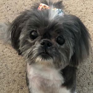 Meet your Posher, Barb